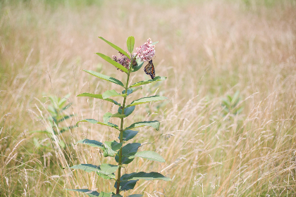 糖心app官网 糖心app官网